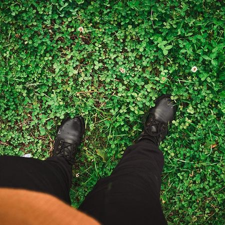 Chale Romantico Com Banheira De Hidromassagem E Lareira Bom Retiro  Eksteriør bilde
